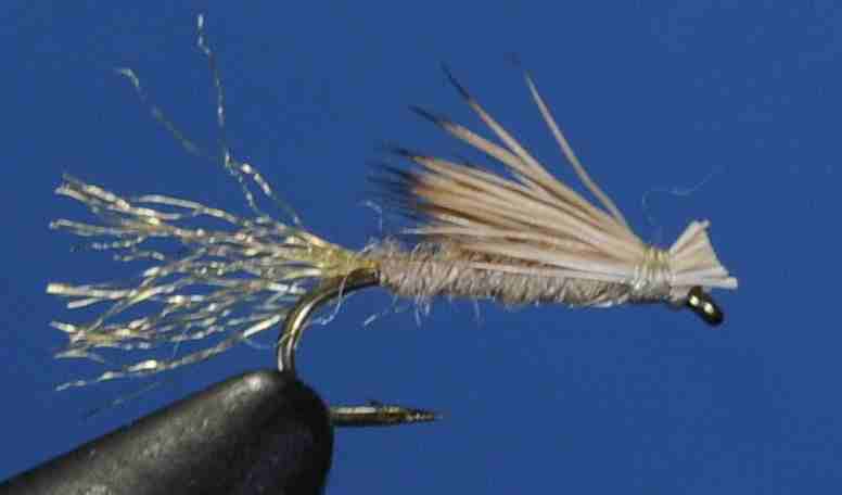 J21-13SCTN product image