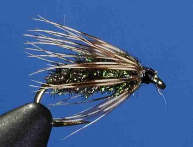 J21-13SHPE product image