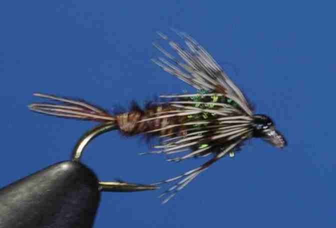 J21-13SHPT product image