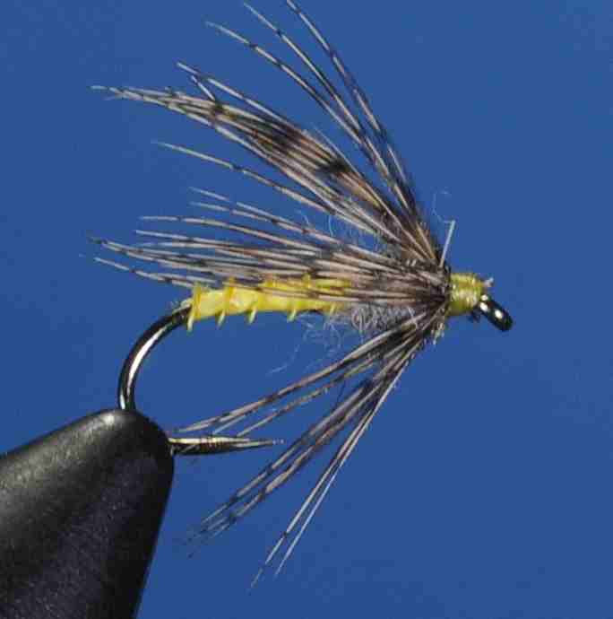 J21-13SHYL product image