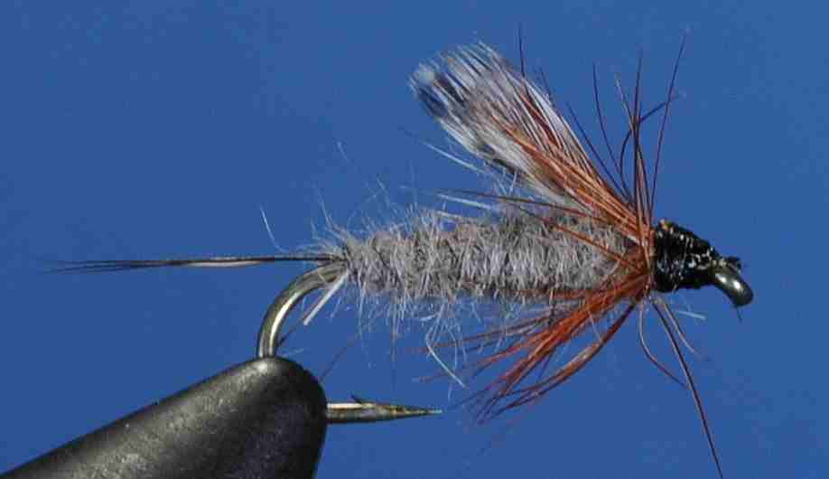 J21-13TEGY product image