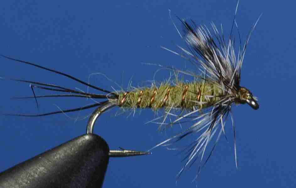 J21-13TEOL product image