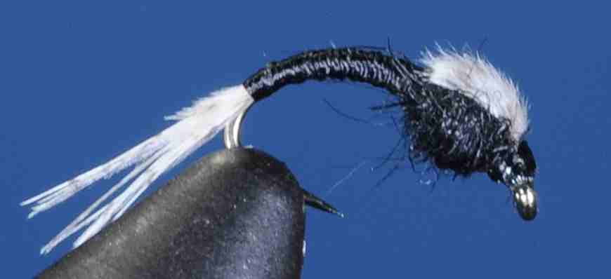 J21-13WDBK product image