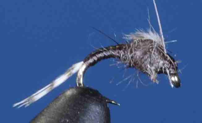 J21-13WDCH product image