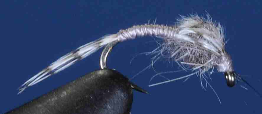 J21-13WDGY product image