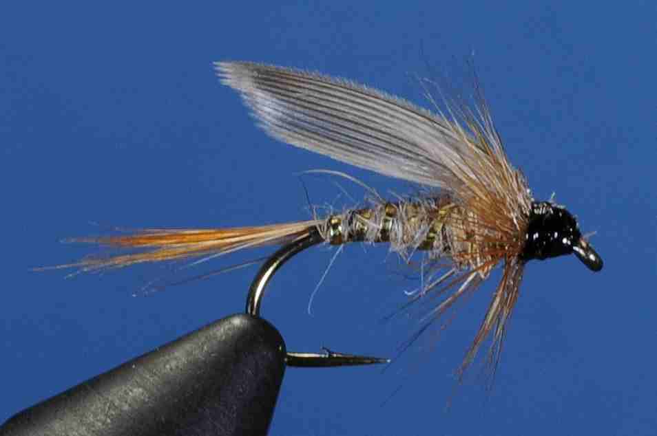 J21-13WHEN product image