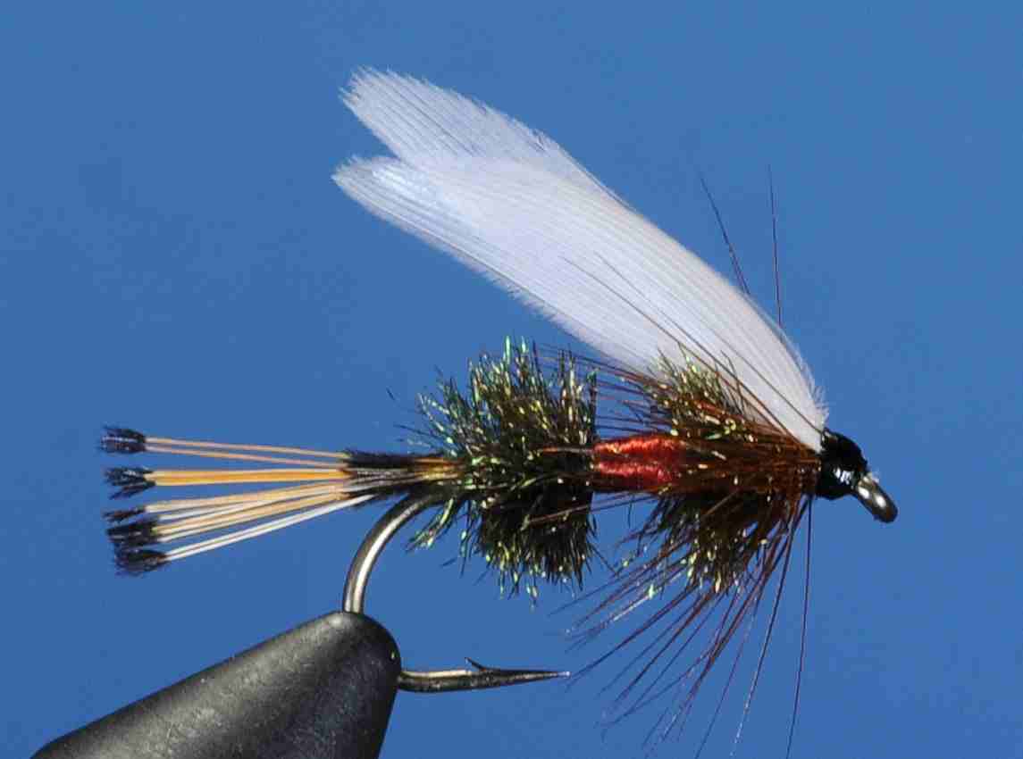 J21-13WRYC product image