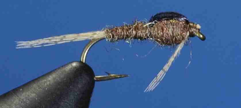 J21-14BWOL product image