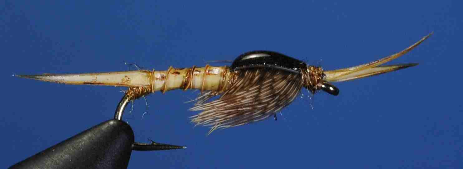 J21-14MNGL product image