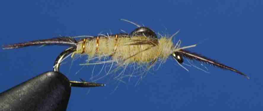 J21-14MNLY product image