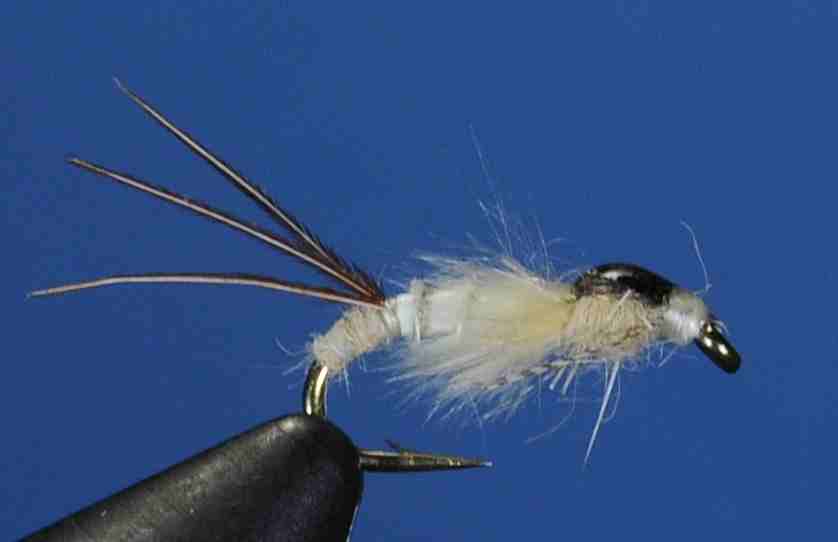 J21-14MNSU product image