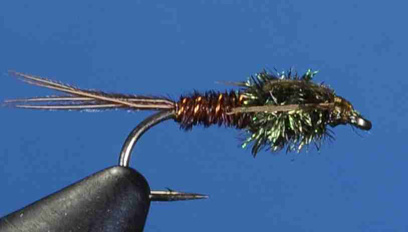 J21-14PTNT product image