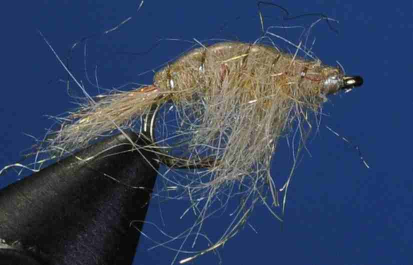 J21-14RSTN product image