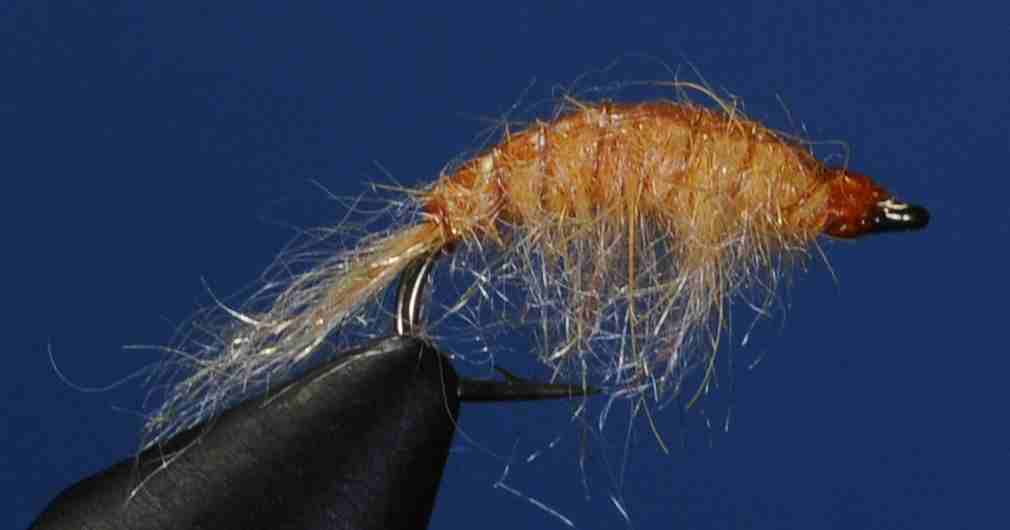 J21-15RSLO product image