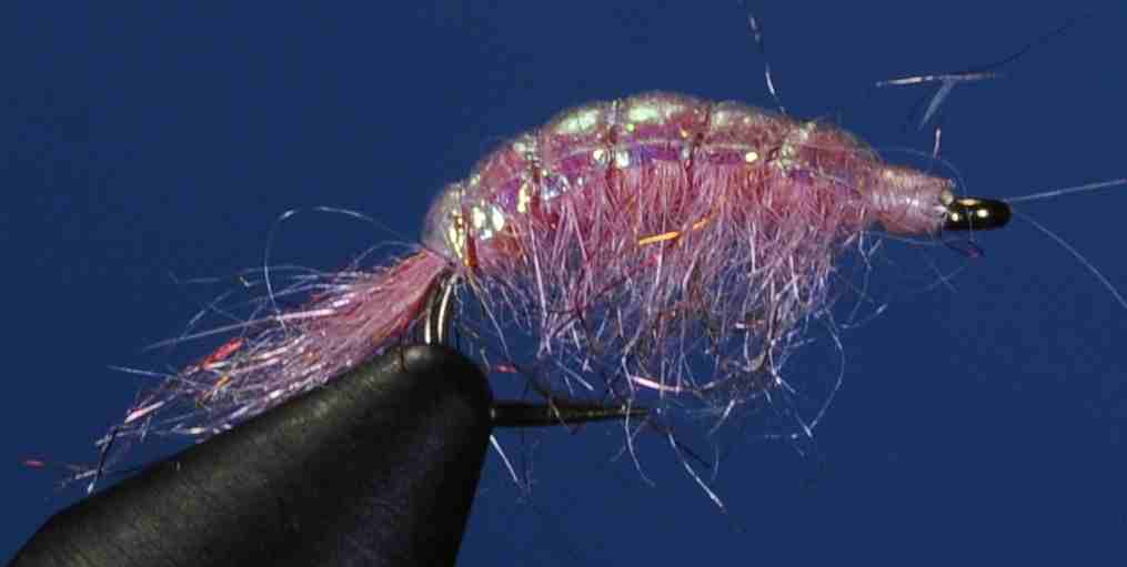 J21-15RSPK product image