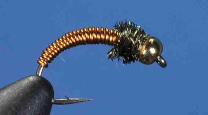 J21-16BRCP product image