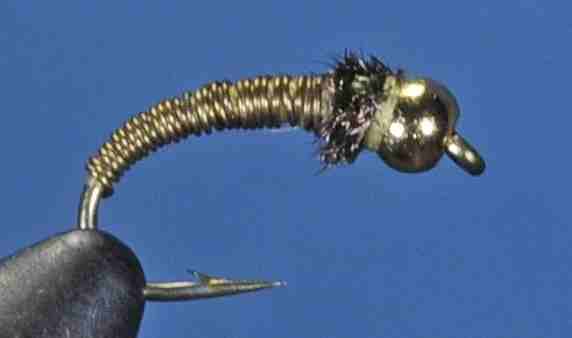 J21-16BRSS product image