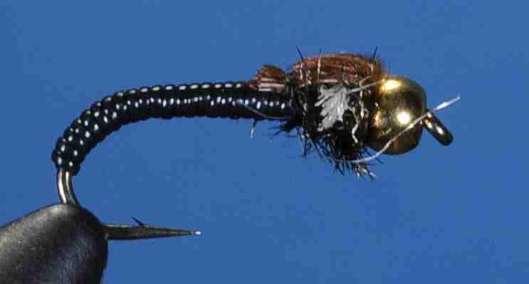 J21-16CHBK product image