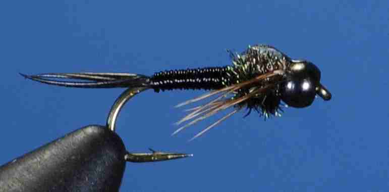 J21-16CJBB product image