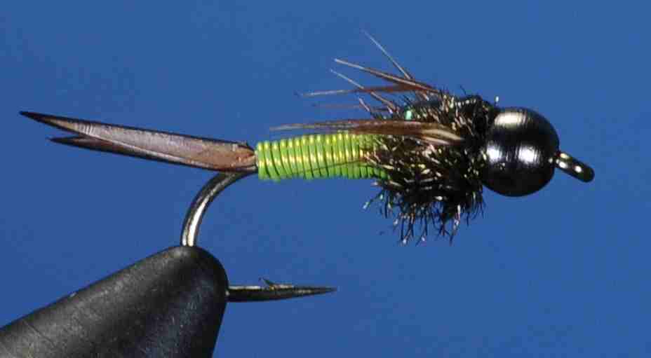 J21-16CJBC product image