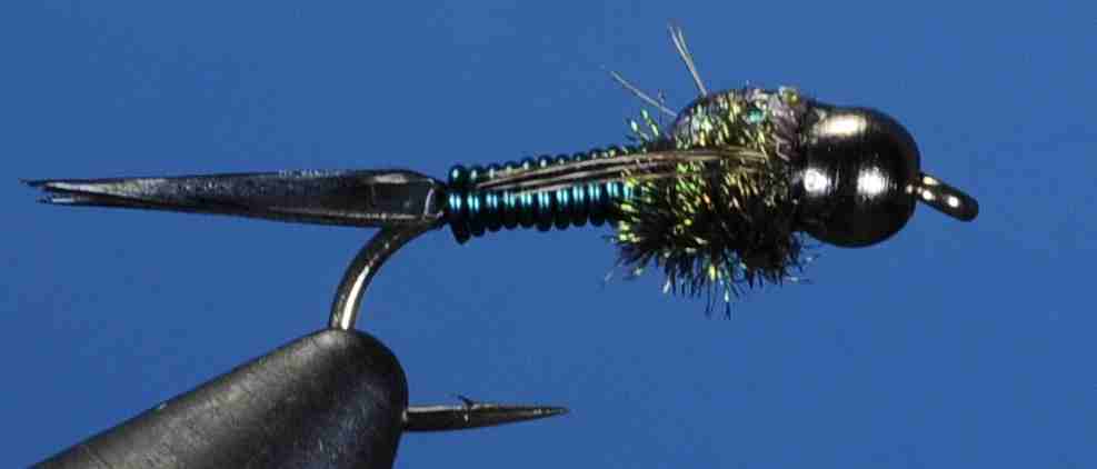 J21-16CJBG product image