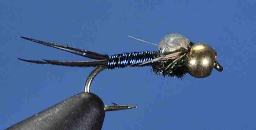 J21-16CJBK product image