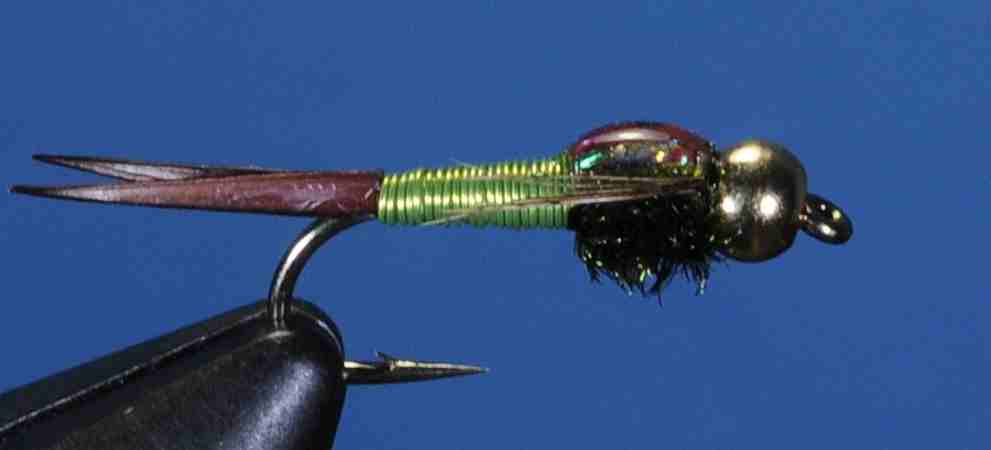 J21-16CJCH product image