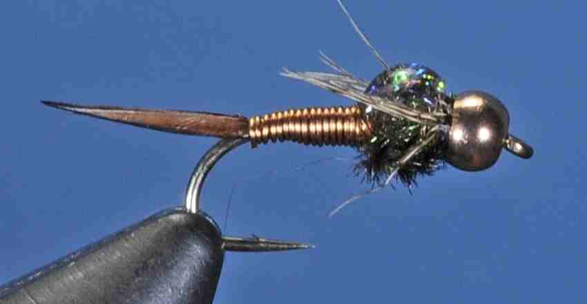 J21-16CJCJ product image