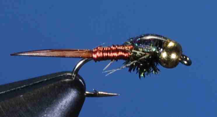 J21-16CJCP product image