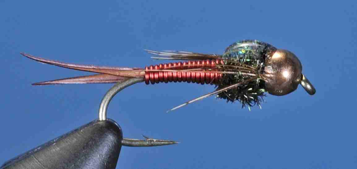 J21-16CJCR product image