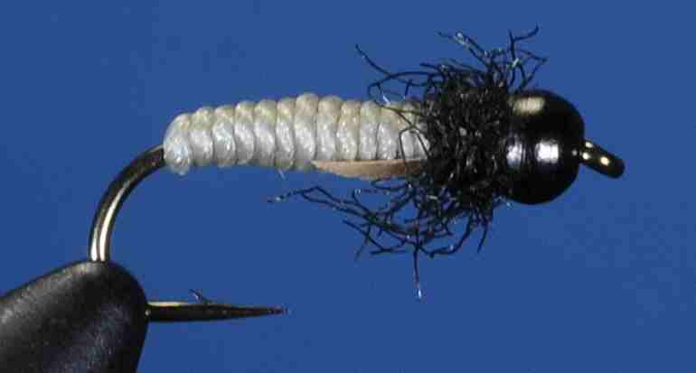 J21-16CLCM product image