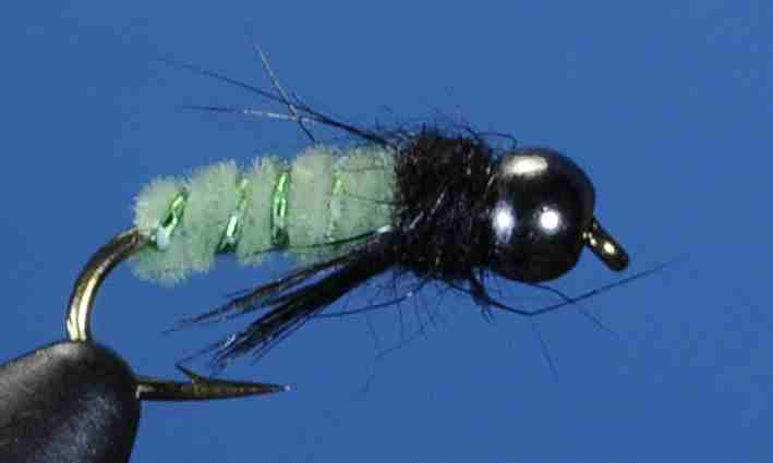 J21-16CLGN product image