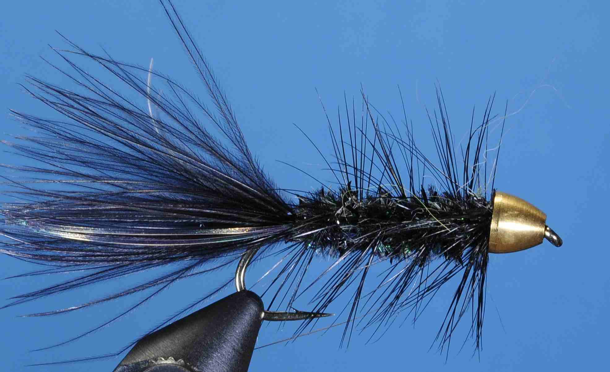 J21-16CNBP product image