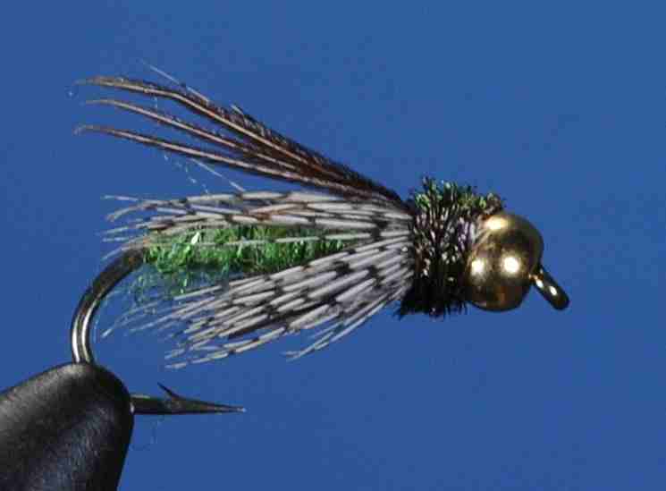 J21-16CPBG product image