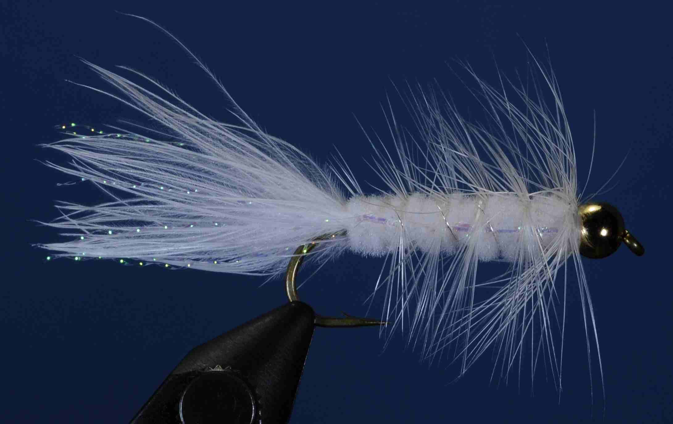 J21-16ELWH product image