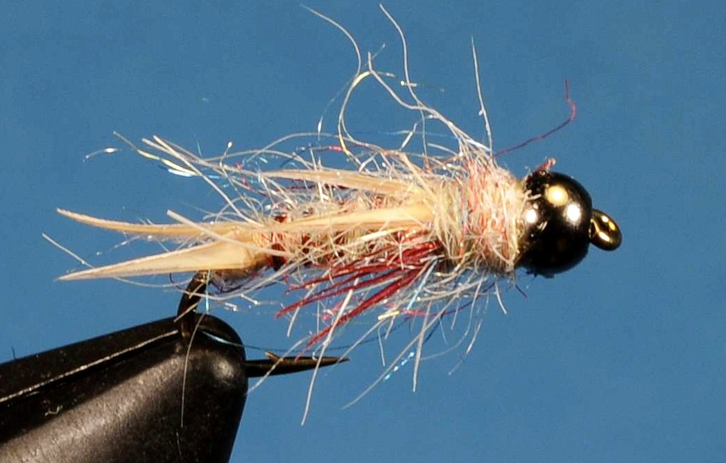 J21-16HBPR product image