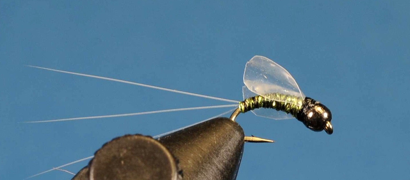 J21-16HDTG product image