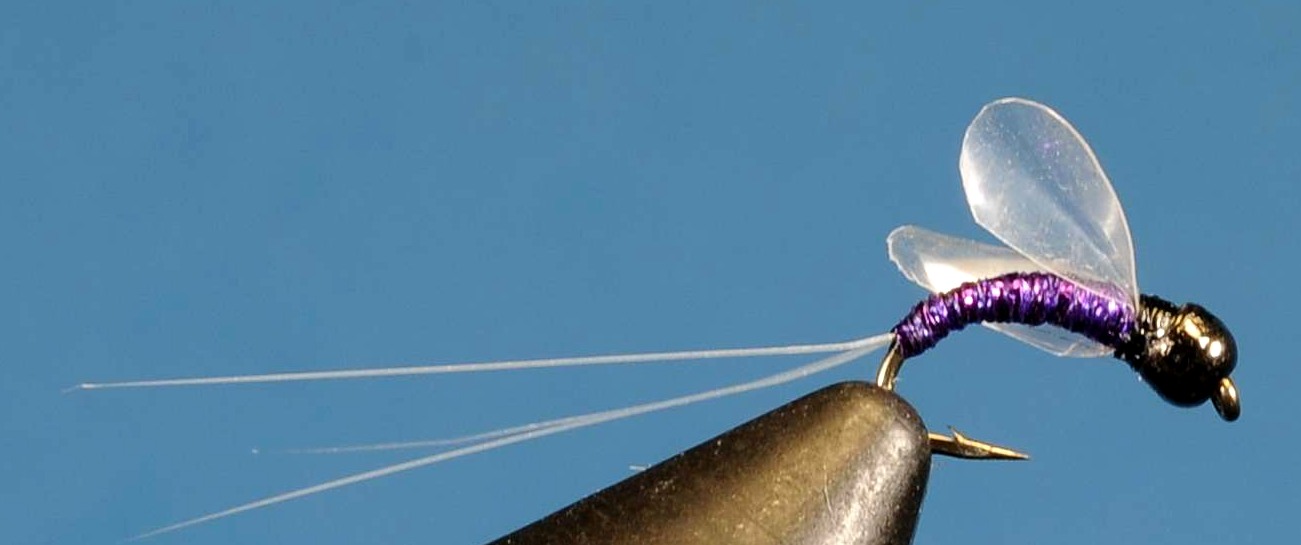 J21-16HDTP product image