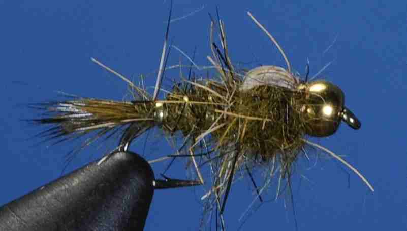 J21-16HEDO product image