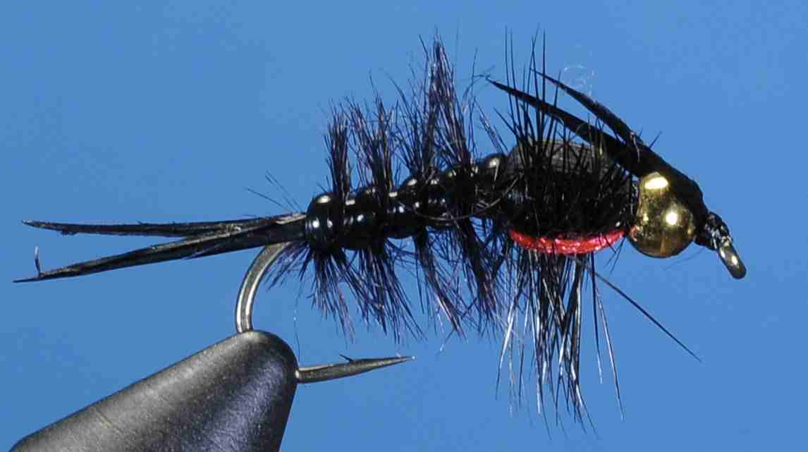 J21-16HELL product image