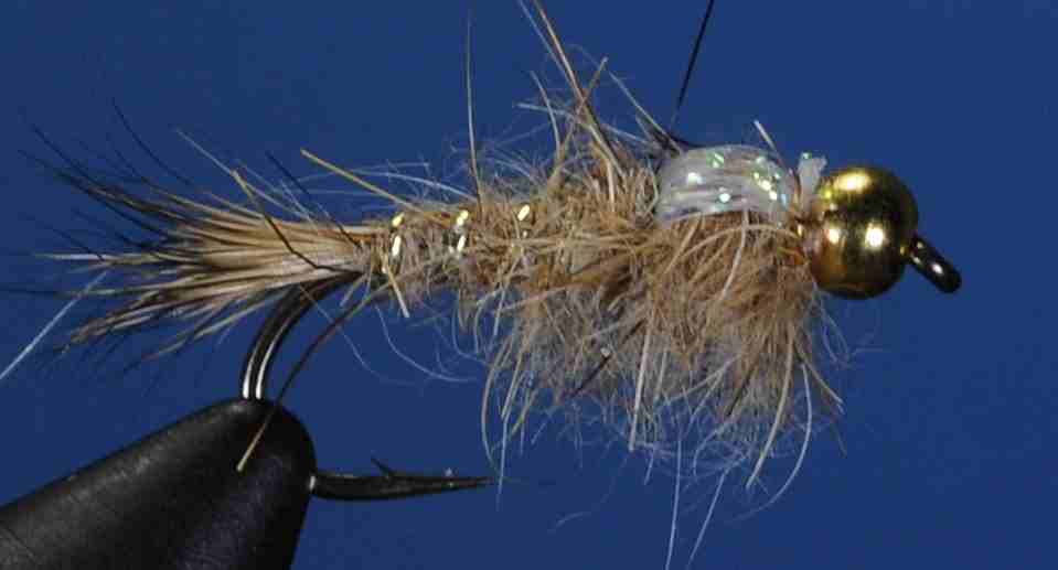 J21-16HENE product image