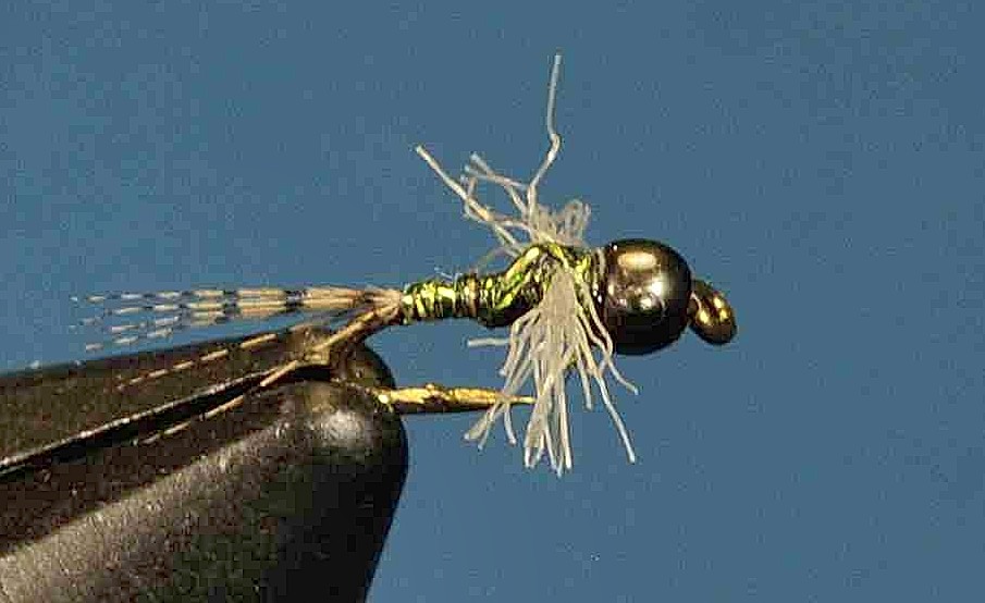 J21-16HMSB product image