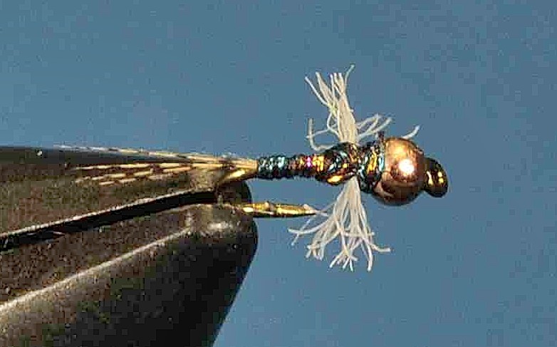 J21-16HMSR product image