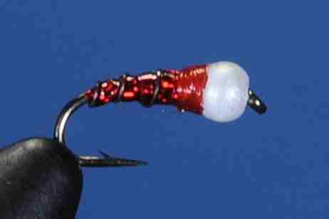 J21-16ICRD product image