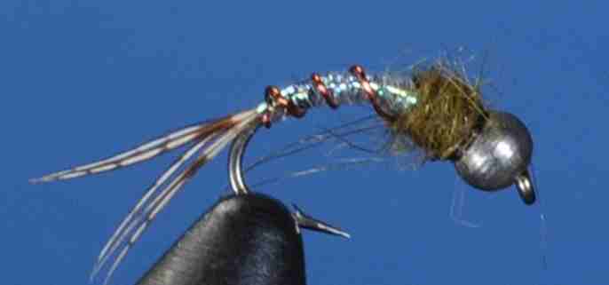 J21-16LBPL product image