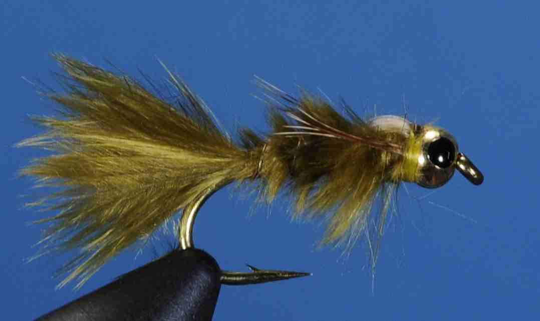 J21-16MDOL product image