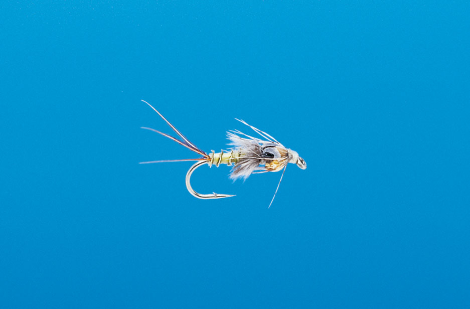 J21-16MNBW product image