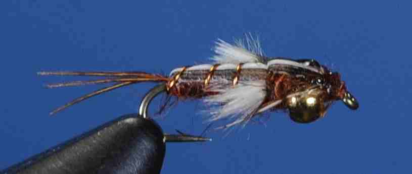 J21-16MNPM product image