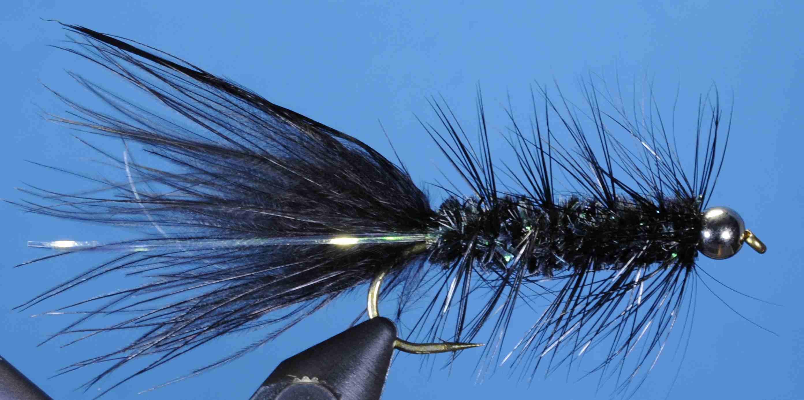 J21-16NBBP product image