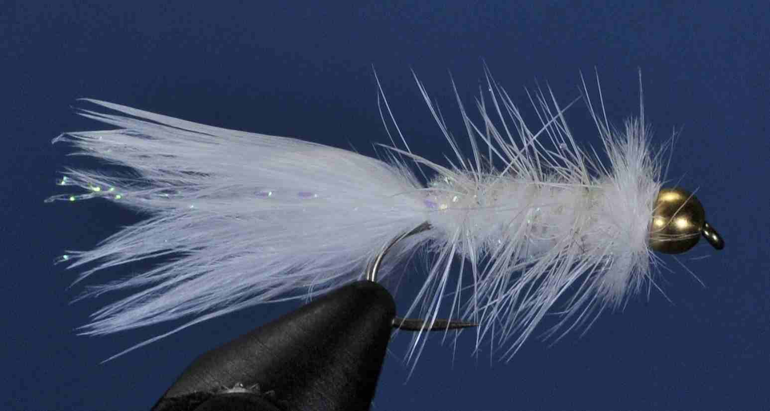 J21-16NBWP product image